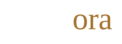 Lungora logo